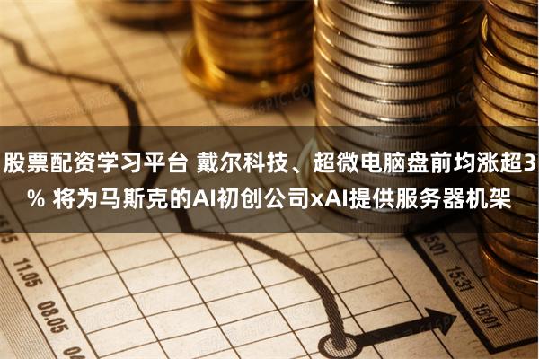 股票配资学习平台 戴尔科技、超微电脑盘前均涨超3% 将为马斯克的AI初创公司xAI提供服务器机架