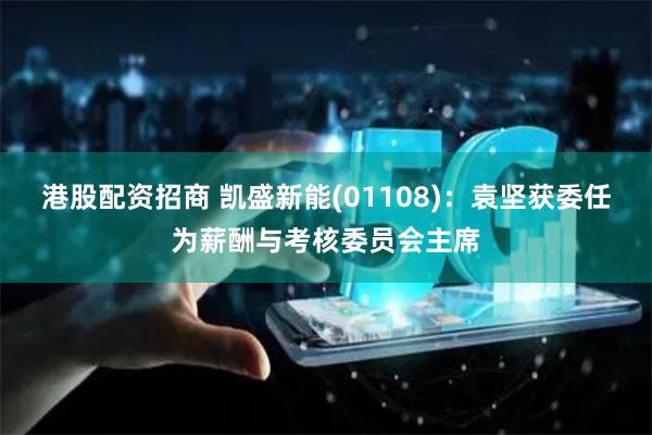 港股配资招商 凯盛新能(01108)：袁坚获委任为薪酬与考核委员会主席