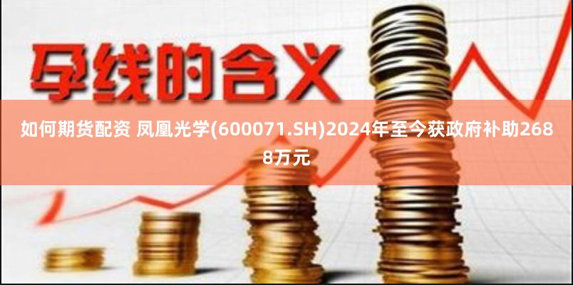 如何期货配资 凤凰光学(600071.SH)2024年至今获政府补助2688万元