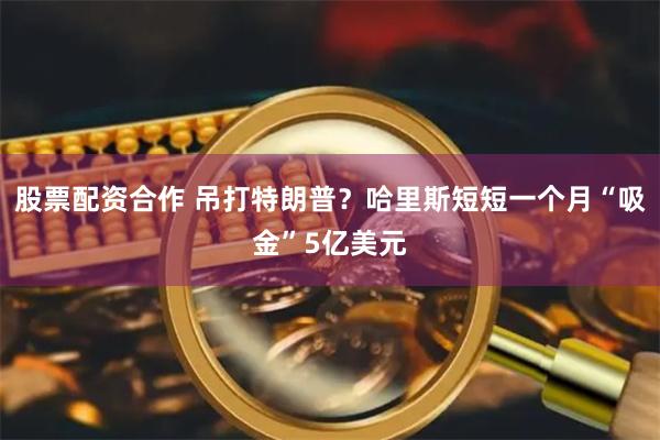 股票配资合作 吊打特朗普？哈里斯短短一个月“吸金”5亿美元