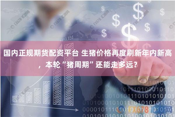 国内正规期货配资平台 生猪价格再度刷新年内新高，本轮“猪周期”还能走多远？