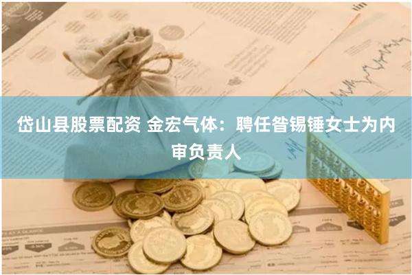 岱山县股票配资 金宏气体：聘任昝锡锤女士为内审负责人