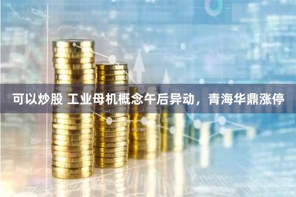 可以炒股 工业母机概念午后异动，青海华鼎涨停