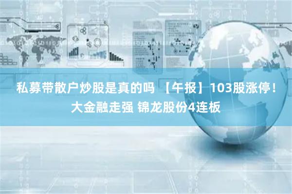 私募带散户炒股是真的吗 【午报】103股涨停！大金融走强 锦龙股份4连板