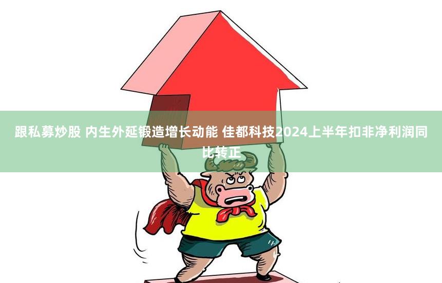 跟私募炒股 内生外延锻造增长动能 佳都科技2024上半年扣非净利润同比转正