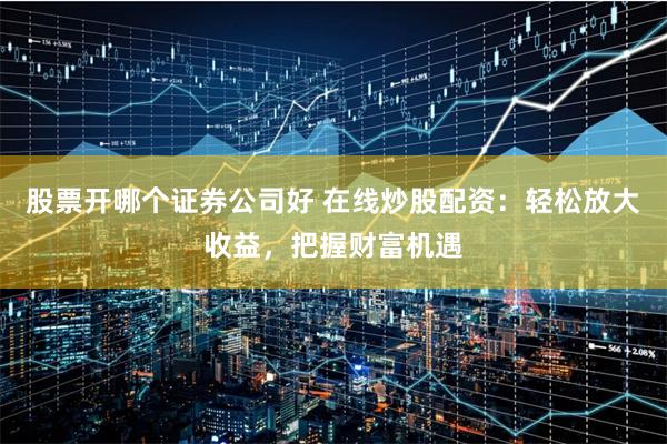 股票开哪个证券公司好 在线炒股配资：轻松放大收益，把握财富机遇