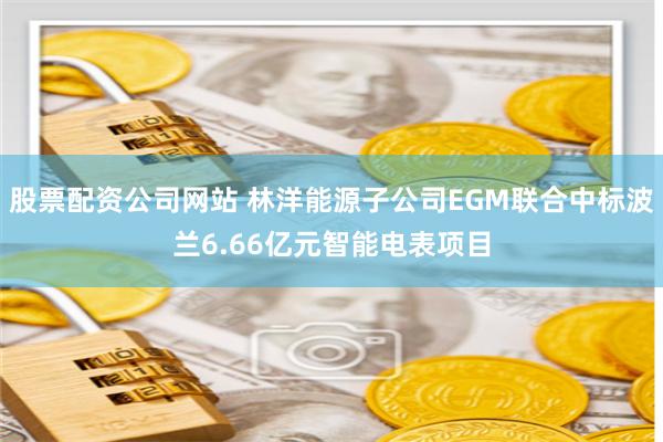 股票配资公司网站 林洋能源子公司EGM联合中标波兰6.66亿元智能电表项目