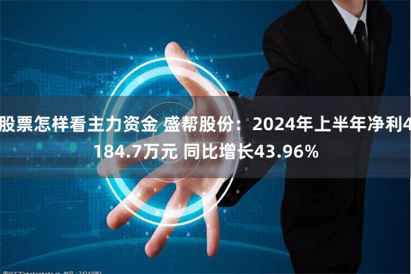 股票怎样看主力资金 盛帮股份:2024年上半年净利4184.7万元 同比增长43.96%